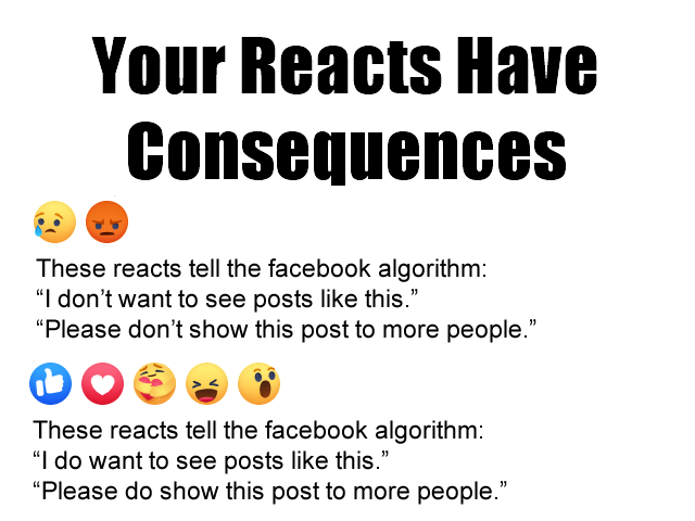 The meme is a humorous take on the frustration of social media algorithms prioritizing content from accounts with more followers. The image features two screenshots of Facebook comments, one from a user who is unhappy about their posts not getting enough engagement, and the other from a user who is aware of the algorithm's prioritization of popular accounts. The text in the image reads: "When you post something and nobody likes it... When you know the algorithm is just showing your post to your grandma"
